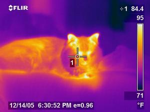 Infrared and Ultrasonic Surveys