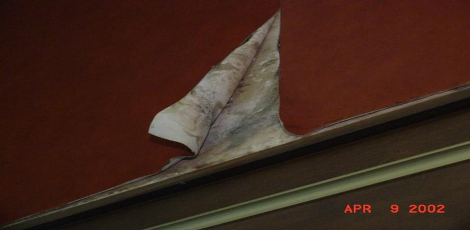 Indoor Air Quality - Mold Investigations