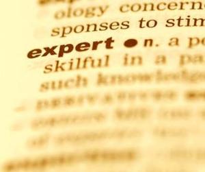Expert Consulting Services