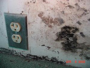 Indoor Air Quality